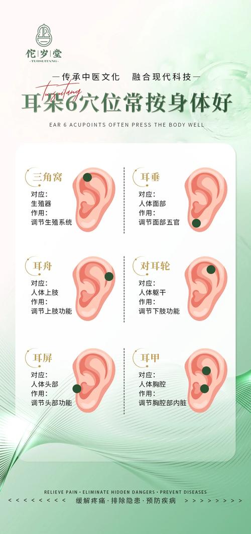 耳朵又薄又小怎么化解  孝順奉養增加福氣