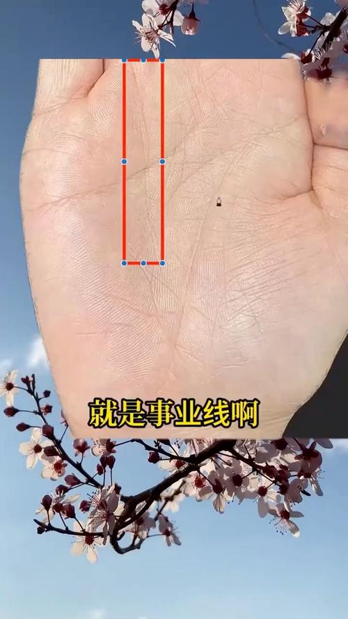 什么樣的成功線是最好的