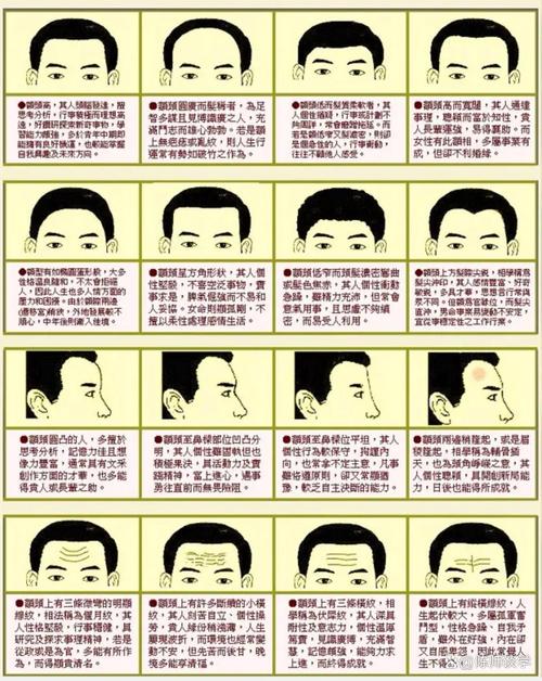 額頭看你一生運勢好壞