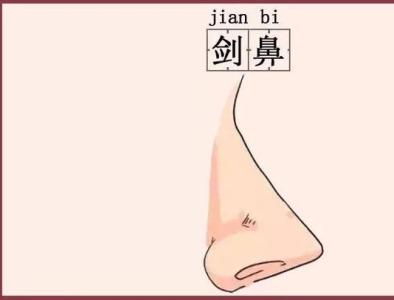 劍鋒鼻面相怎么樣，劍鋒鼻面相的運勢怎么樣