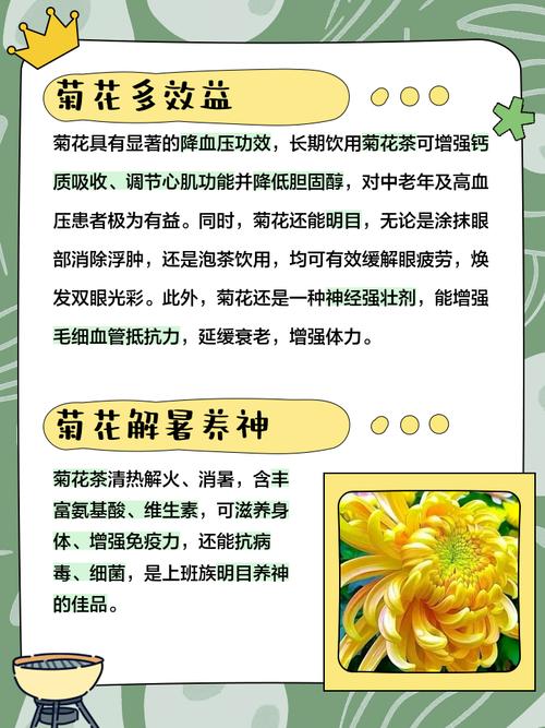 啥叫菊花命