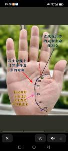 從手相看你的晚年是否會有幸福歸宿?