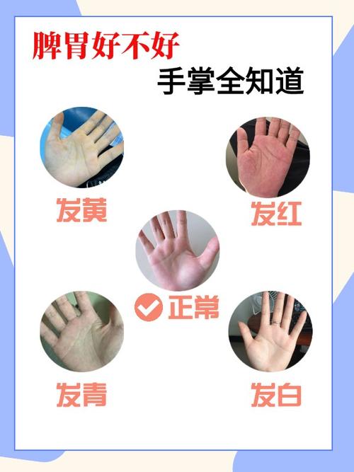 手掌溫熱如血紅的人家境豐隆是什么說法