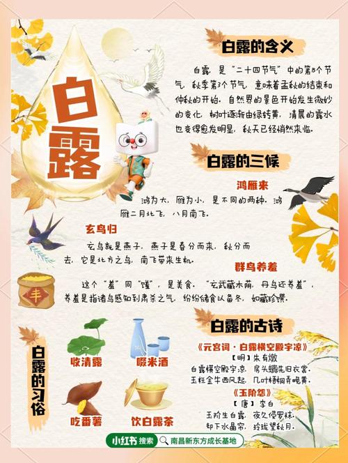 白露節氣收清露是我國民間一種特別的儀式嗎 收集清露是一種特別的民俗
