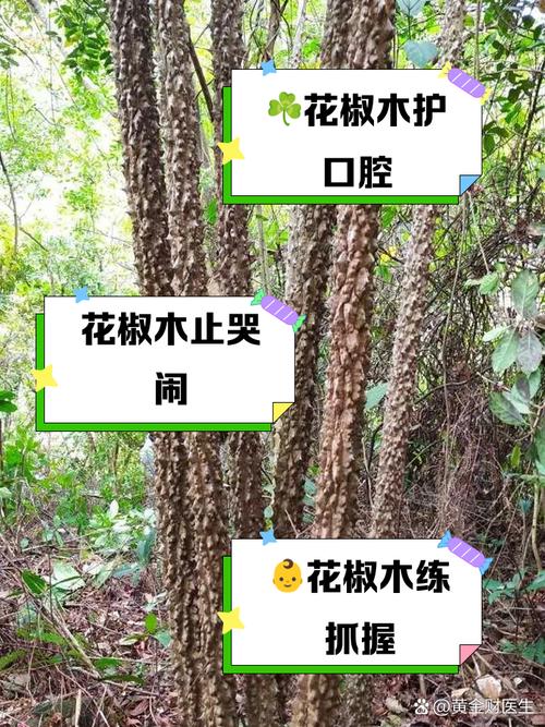 花椒木有辟邪作用,花椒木有什么作用?