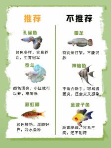 家庭養魚知識必備大全,家庭養魚必備常識