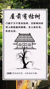 農村房前屋后風水禁忌