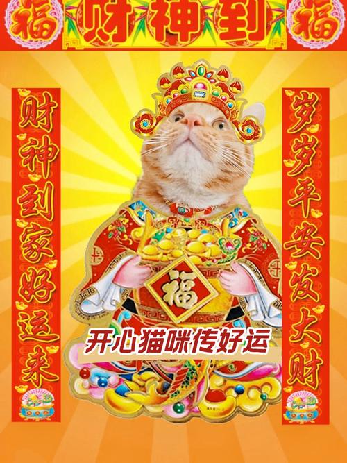 家里跑來貓會帶來福運 貴人運提升