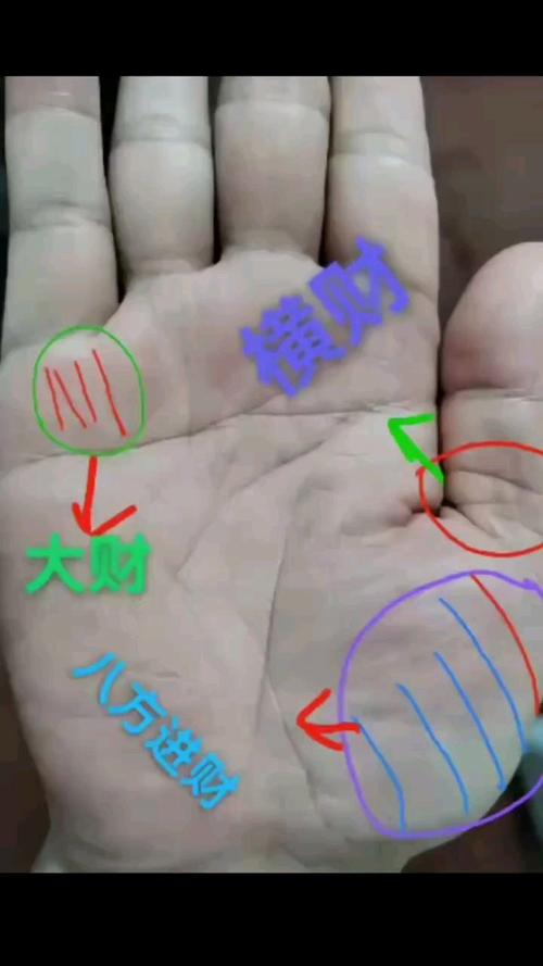 手相看財運 手上哪里有肉財運好
