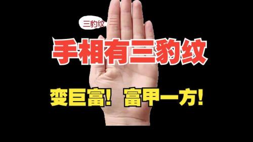 三豹紋手相的人會因為異性有好財運