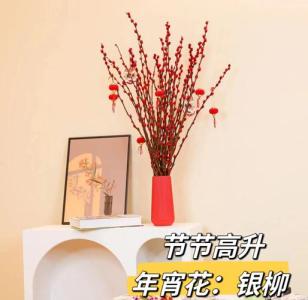 客廳放什么干花招財