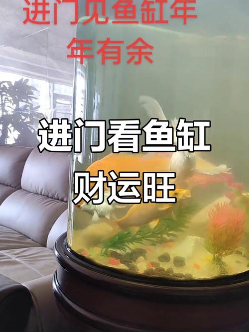 從風水學看進門見魚缸風水好嗎 散盡財氣不利發展