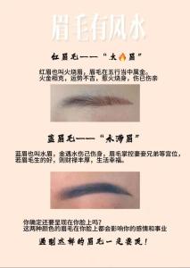 面相眉毛的運勢