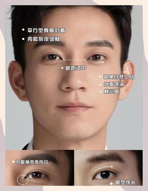 男生桃花眼面相解析