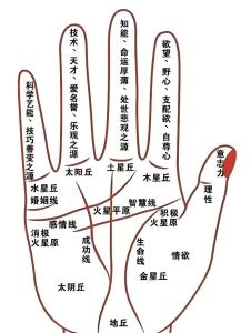 如何從生命線看健康狀況?
