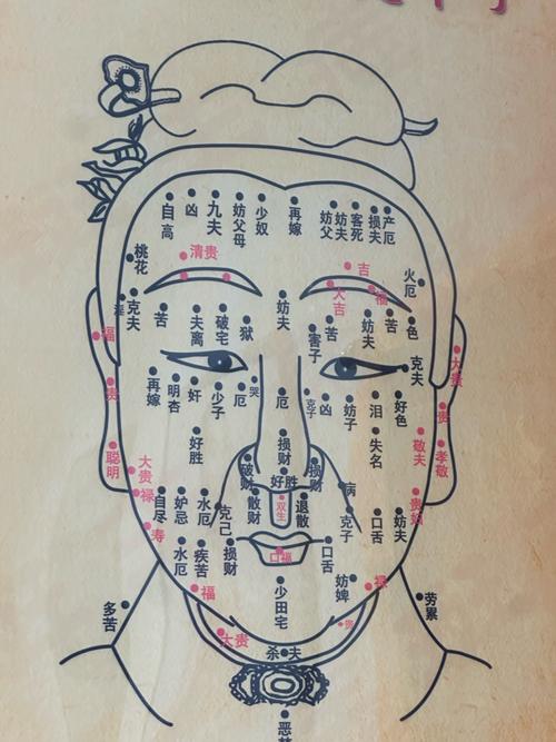 人中線上有痣的女人 輸出穴位表壽命