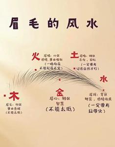 什么樣的眉毛財運好 財運發(fā)展機會途徑多