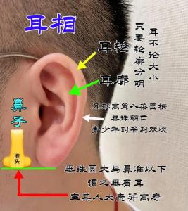 男人有福氣的耳朵 耳朵富貴相詳解