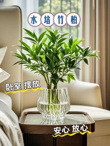 臥室中擺設(shè)花卉的風(fēng)水知識(shí)
