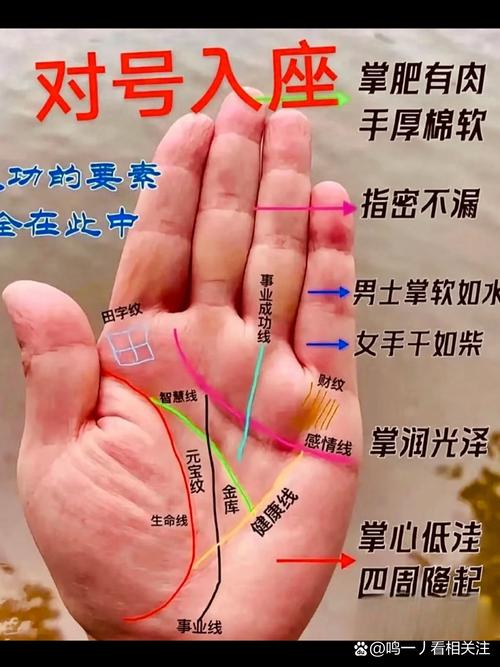 手相命運(yùn)圖解：手軟的女人命好嗎