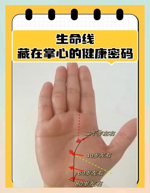 生命線短不會長壽嗎