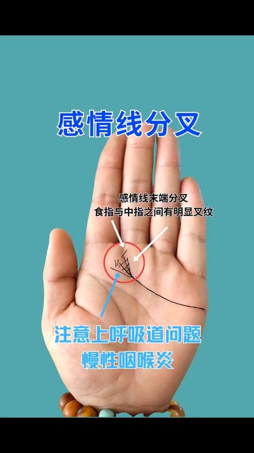 感情線分叉到智慧線說明了什么