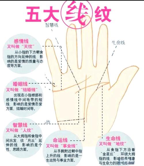 子女線長(zhǎng)短代表什么，代表與子女緣分的深淺嗎？