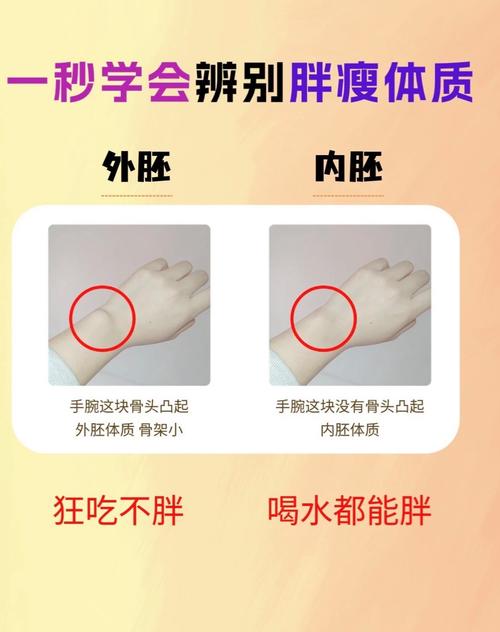 體相學(xué)胖好還是瘦好