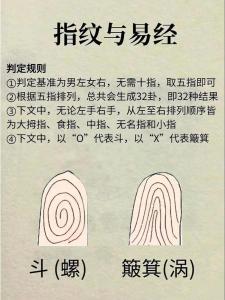 ?指紋斗和簸箕的說法 手指上的斗和簸箕代表什么