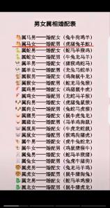有戀母情結的生肖男 喜歡大女人的生肖男