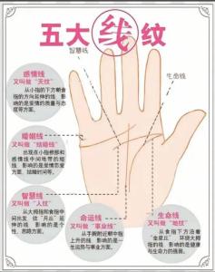 錢財紋特別多 男女錢財紋多的人命運(yùn)