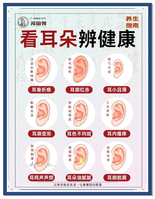 耳朵小無耳垂又貼腦的女人 耳朵小的女人的運勢