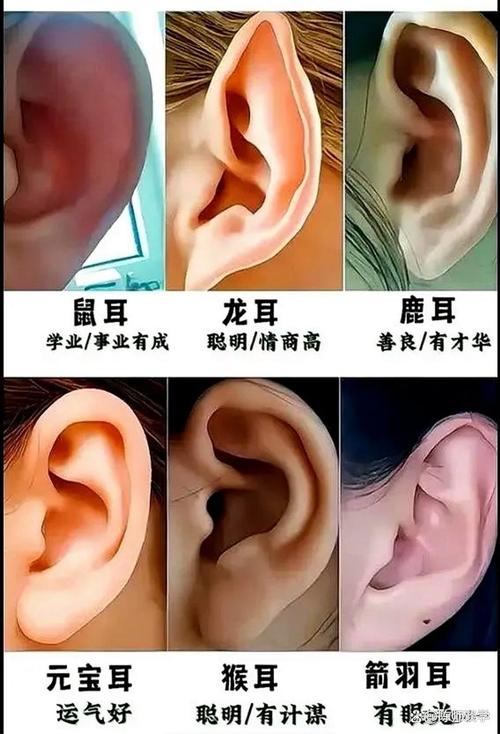 耳朵看相 耳朵看你是否富貴