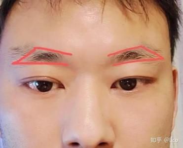 男人掃帚眉代表什么 脾氣影響經濟增長速度
