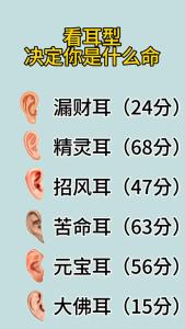 耳朵圓圓的有福氣嗎 財運(yùn)發(fā)展機(jī)會發(fā)展更加昌盛