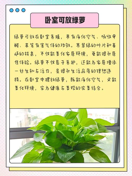 臥室擺放花草的風水知識