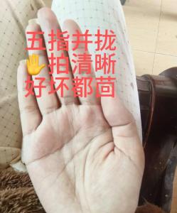 五指看你一生富貴命,為什么說“五指不漏縫,一生不受窮”?