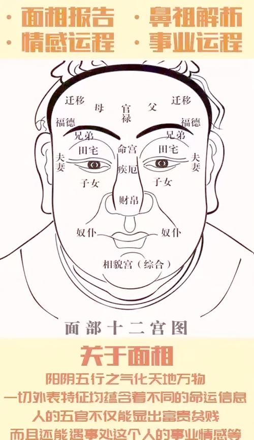 額頭看相：額頭形狀看性格命運