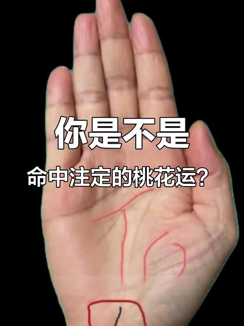 桃花運(yùn)手相怎么看最有桃花的女生手相 桃花運(yùn)手相特征