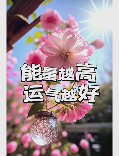 從頭發看你的運勢