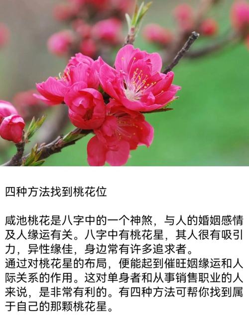桃花遲遲不來(lái)的風(fēng)水