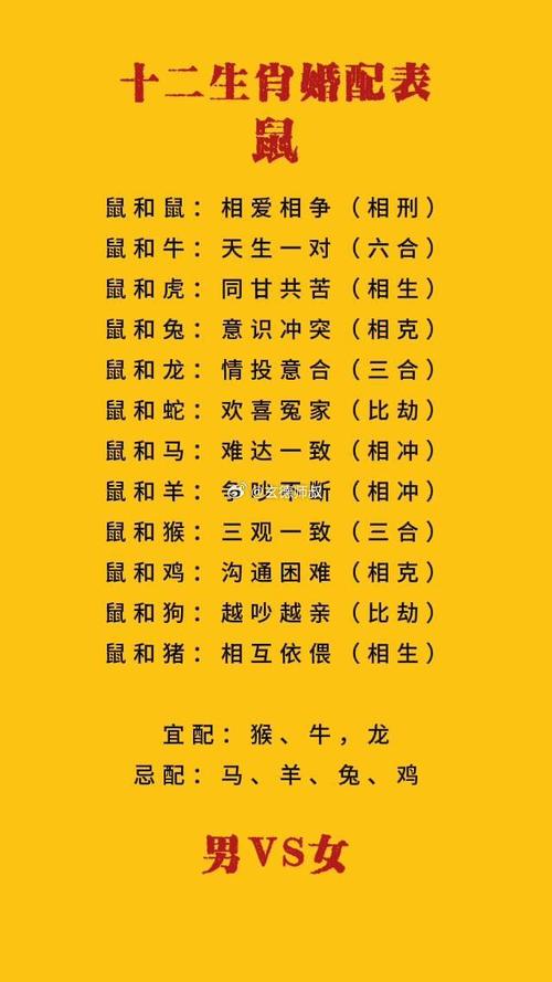 屬鼠找對象屬什么最佳 十二生肖鼠的最佳配對