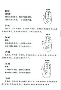 手掌外形看性格