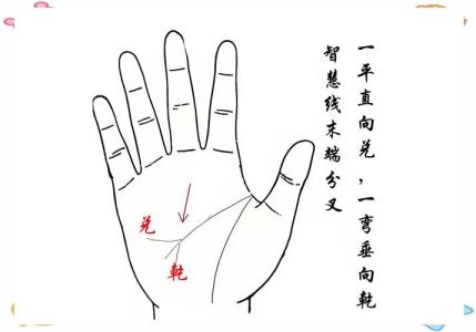智慧線末端分叉有什么預兆