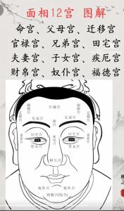 面相學：什么樣的人心機深最好遠離