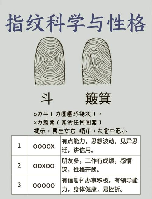 手指指紋看出你性格禍福以及事業(yè)