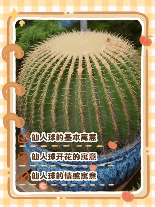 仙人球放在餐廳財位上好嗎,仙人掌的風水寓意是什么?