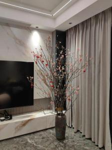 客廳財位放干花好嗎,干花能不能擺設家里客廳