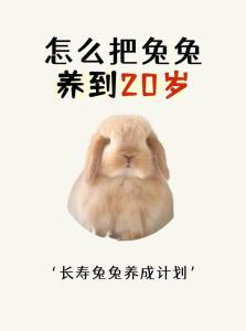 三月出生的兔寶寶命運如何 有俠義氣概且十分幸運