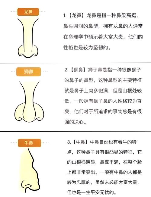 鼻子的5種面相有哪些